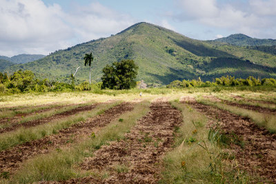 Valle de Los Ingenios-17.jpg