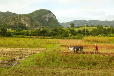 Vinales Valley-54.jpg