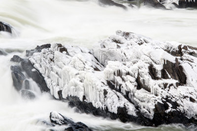 Great Falls-36.jpg