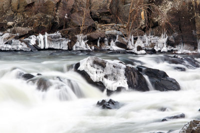 Great Falls-43.jpg