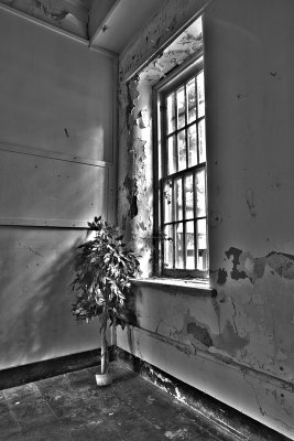 Trans-Allegheny Lunatic Asylum HDR-7.jpg