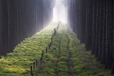 path to light
