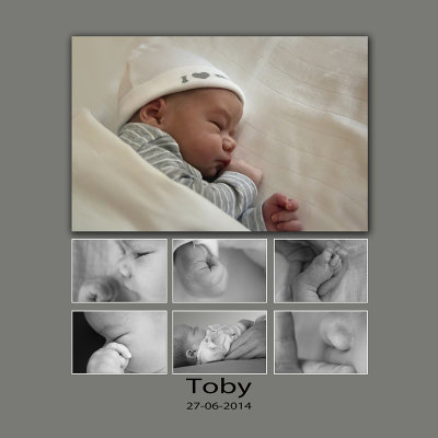 2014.06.27 Toby just born