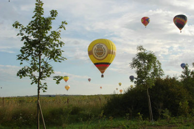 DSC04451.jpg