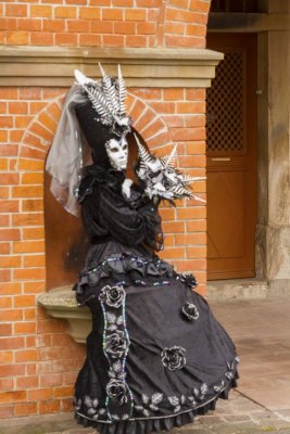 IMG_5234.jpg