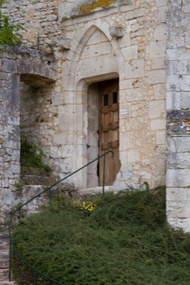 IMG_1132.jpg