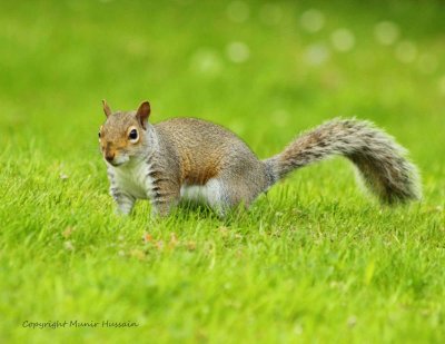 IMG_1811.jpg