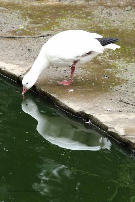 IMG_6314.jpg