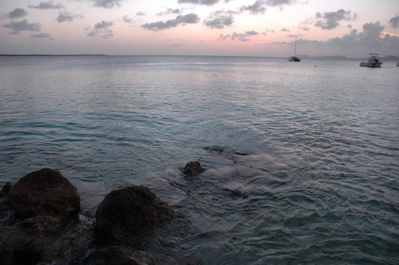 DSC_0123.jpg
