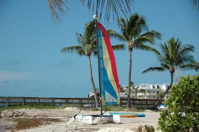 DSC_0122.jpg