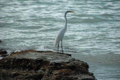 DSC_0129.jpg
