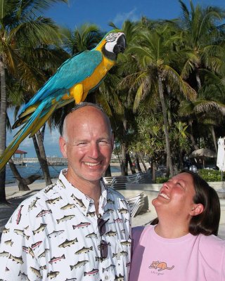 Parrot Head