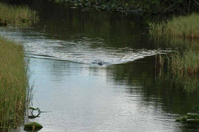 DSC_0193.jpg
