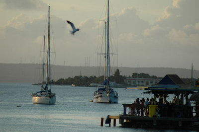 DSC_0143.jpg