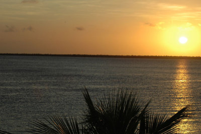 DSC_0150.jpg
