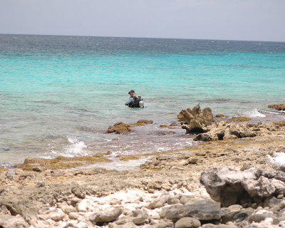 Diving the Hooker