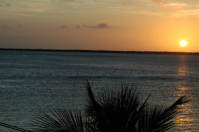 DSC_0153.jpg