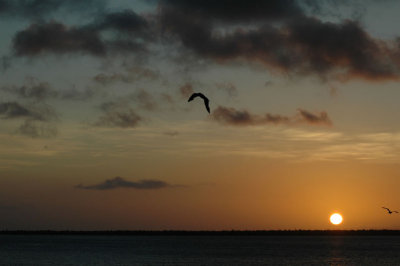 DSC_0155.jpg
