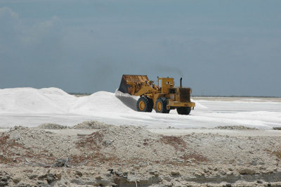 Salt Scoop