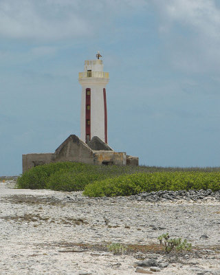 The Lighthouse