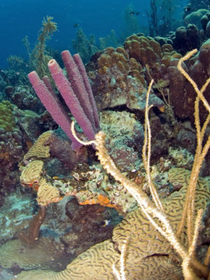 DSC_0045.jpg