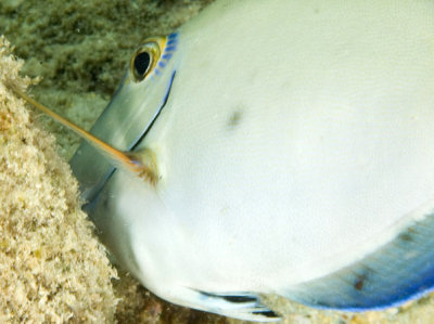 DSC_0112.jpg