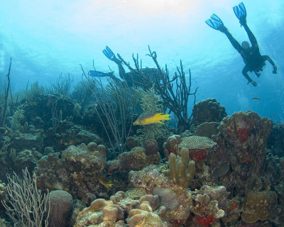 DSC_0121.jpg