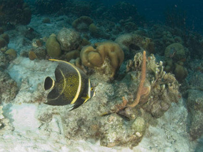 DSC_0138_1.jpg
