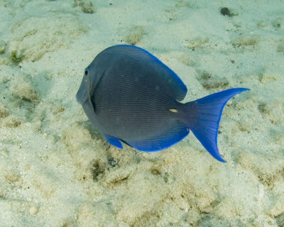 DSC_0156_1.jpg