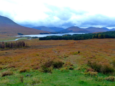 Rannoch Moor View (2).JPG