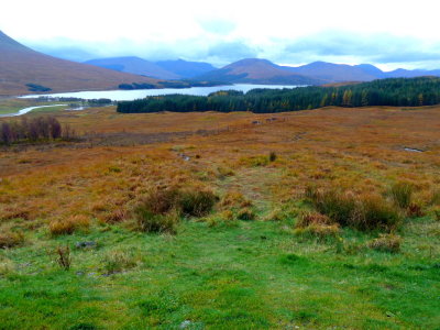 Rannoch Moor View (4).JPG