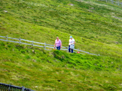 (272) LACH AWE Holiday - Anoch Mor - Nevis Range - Mountain cycle run