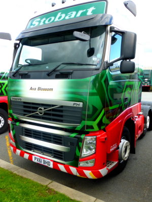 H4843 - PX61 BHD - Ava Blossom @ Stobart Carlisle Depot