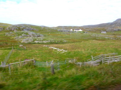 (367) Isle of Barra View