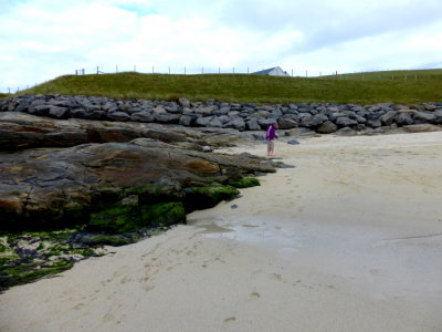 (379) Isle of Barra Beach Hotel View - Tangasdale Beach