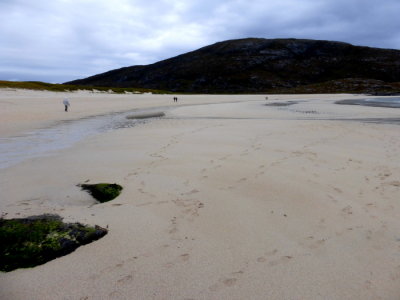 (381) Isle of Barra Beach Hotel View - Tangasdale Beach