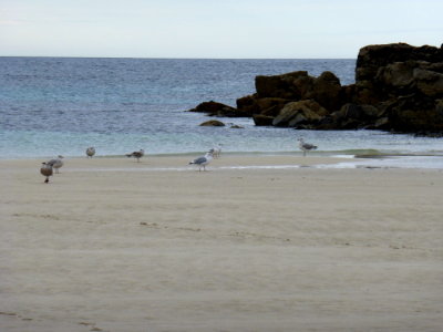 (392) Isle of Barra Beach Hotel View - Tangasdale Beach