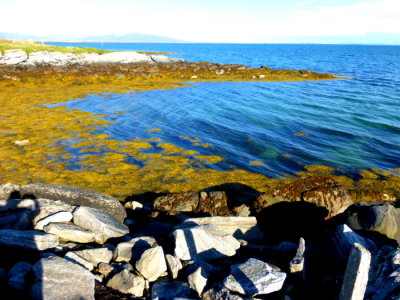 (491)  At Borve, Isle of Berneray waiting for our ferry to Leverburgh, Isle of Harris