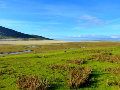 (520) Isle of Harris View