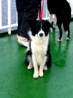 (772) Onboard CALMAC - ISLE OF LEWIS to Ullapool