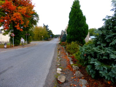(810) Nethy Brisdge Hotel - Main Road - Invernesshire