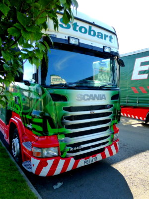 M463 - PE11 AYB - Elfie @ Stobart Depot Carlisle