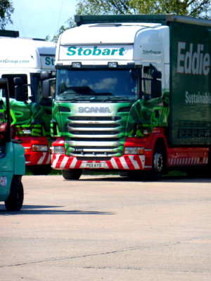 M465 - PE11 AYD - Ellie Mae @ Stobart Depot Carlisle