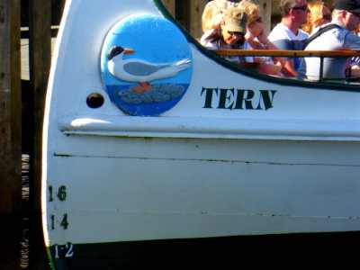 TERN @ Lake Windermere