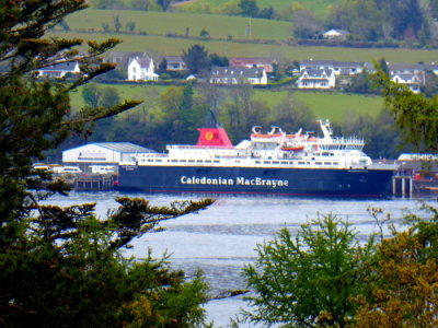 CALEDONIAN ISLES (1993) @ Brodick from Brodick Castle Gardens