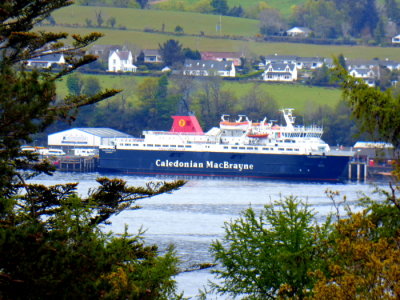 CALEDONIAN ISLES (1993) @ Brodick from Brodick Castle gardens.