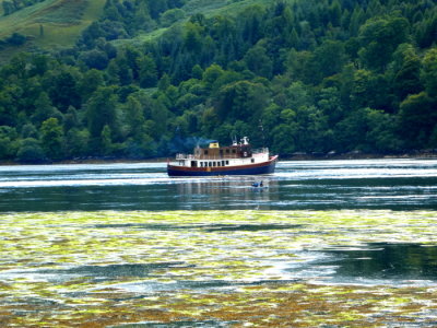 MAJESTIC CRUISES GLEN TARSAN @ Eilean Donan Castle, Scotland