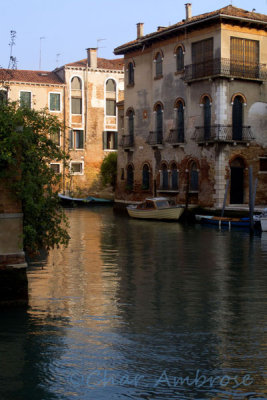 Venice Canal 2011