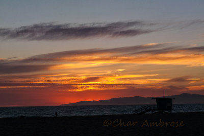 Hermosa  Beach