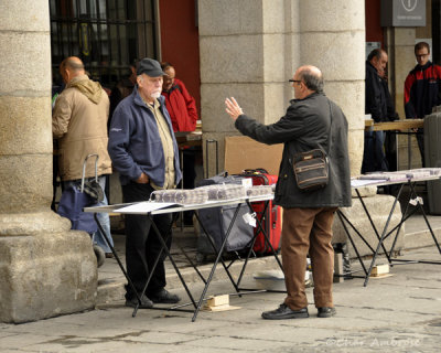  Coin Sellers in Plaza Mayor